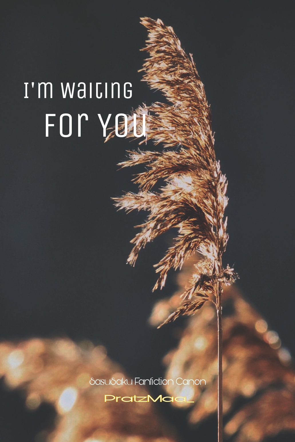 I’m Waiting For You